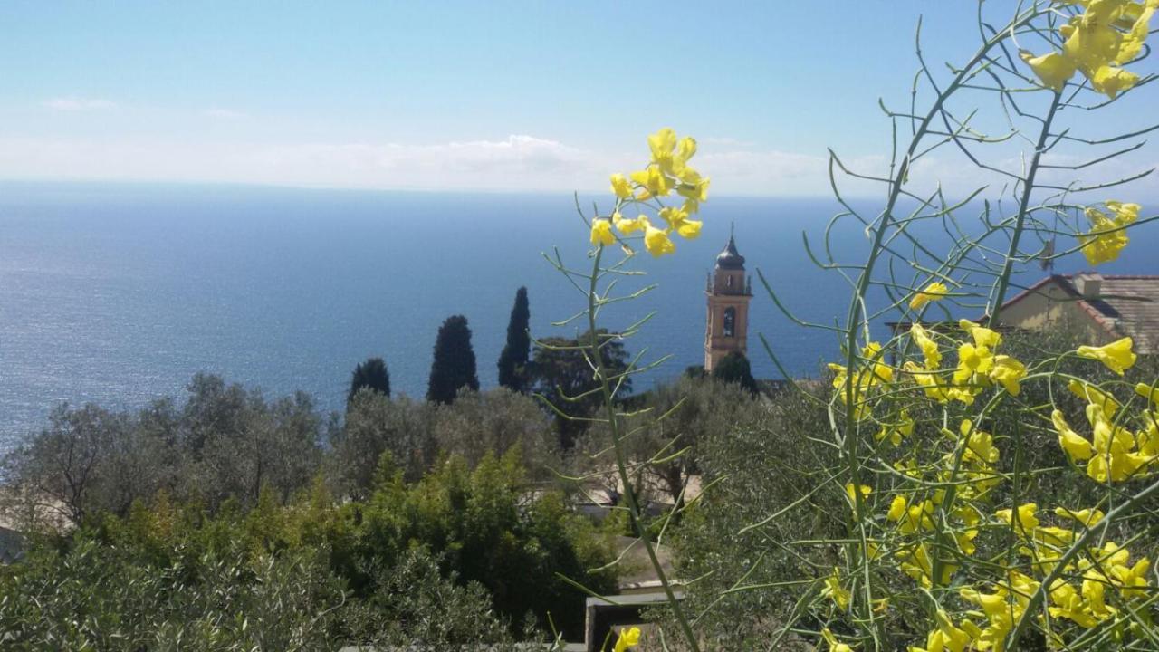 Il Gabbiano Di Pieve Bed & Breakfast Pieve Ligure Exterior photo